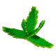Aloe Vera - Grow a Garden Crop