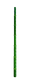 Bamboo - Grow a Garden Crop