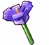 Crocus - Grow a Garden Crop