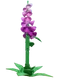 Foxglove - Grow a Garden Crop
