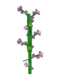 Lilac - Grow a Garden Crop