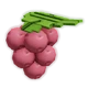 Lingonberry - Grow a Garden Crop
