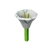 Moonflower - Grow a Garden Crop