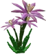 Paradise Petal - Grow a Garden Crop
