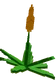 Succulent - Grow a Garden Crop